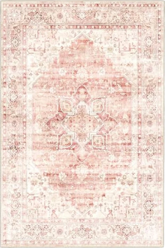 Brakki 6x9 Area Rugs Washable, Pink Rug for Living Room Bedroom Dining Room Kitchen, Soft Floral Vintage Distressed Carpet Non Slip, Boho Rug for Girls Boys Home Decor - 6′0″x9′0″