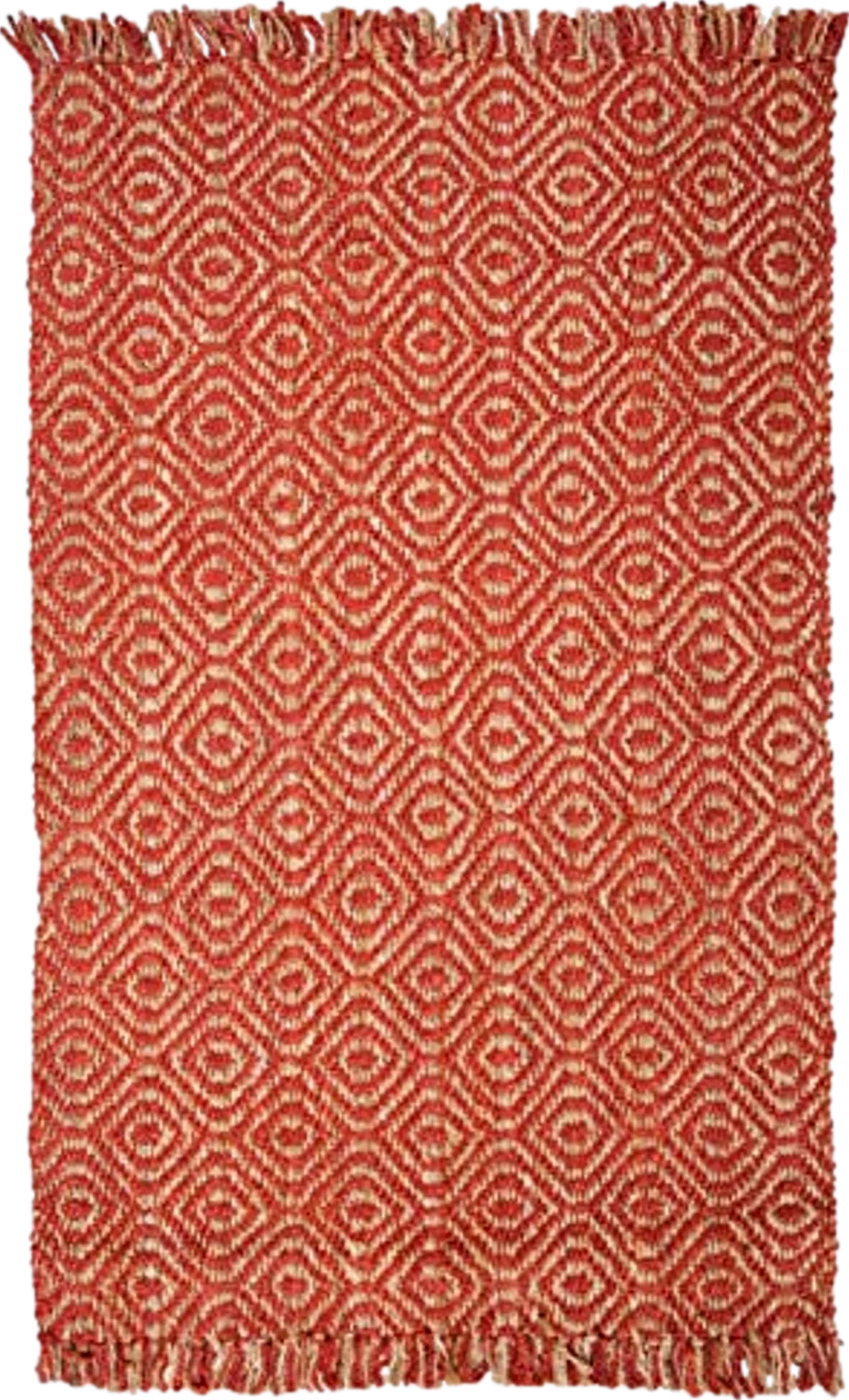 SAFAVIEH Natural Fiber Collection Area Rug - 6' x 9', Rust, Handmade Boho Fringe Woven Jute, Ideal for High Traffic Areas in Living Room, Bedroom (NF445A) - 6′0″x9′0″
