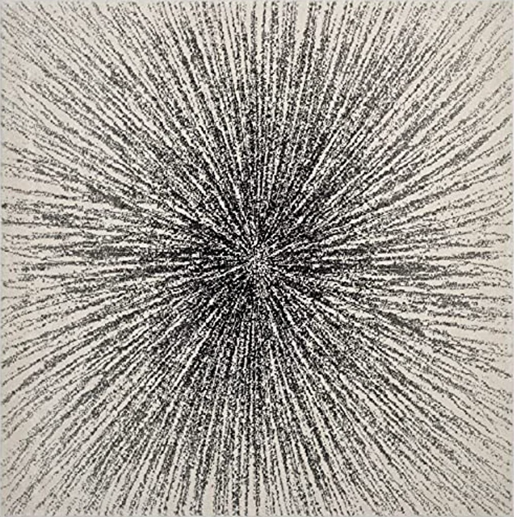 SAFAVIEH Evoke Collection 6'7" Square Black/Ivory EVK228K Abstract Burst Non-Shedding Living Room Bedroom Dining Home Office Area Rug - 6′7″x6′7″
